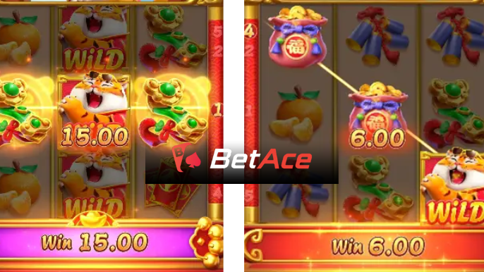 betace fortune tiger combinations