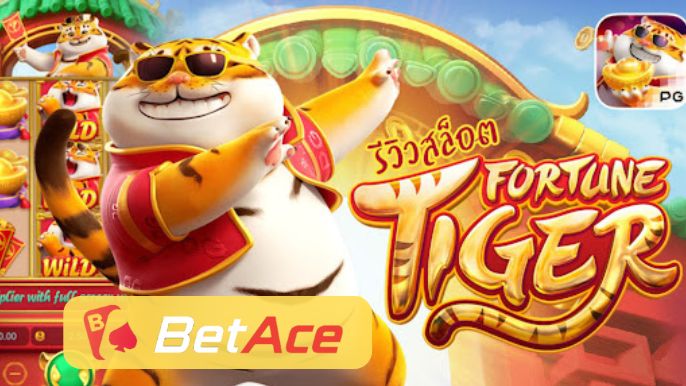 betacewin fortune tiger online cassino