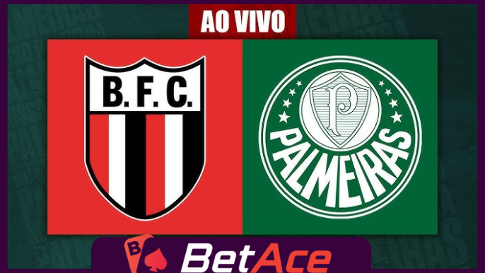 botafogo-sp x palmeiras copa do brasil
