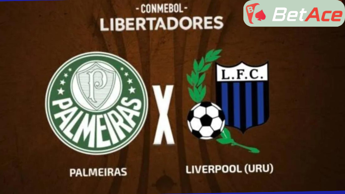 palmeiras vs liverpool-uru buscando vitória pela libertadores